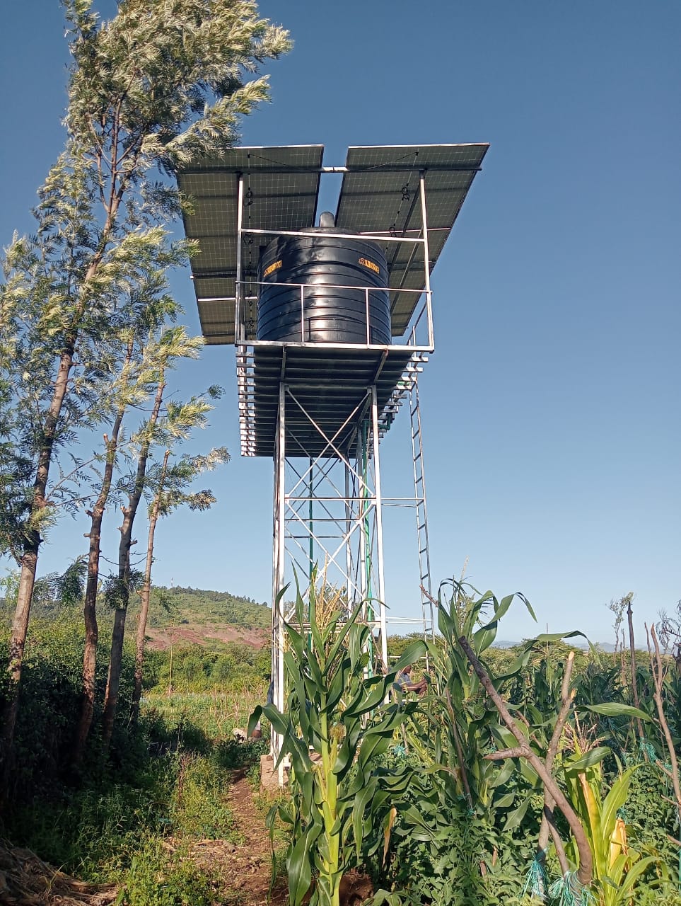 Elevated water tower system