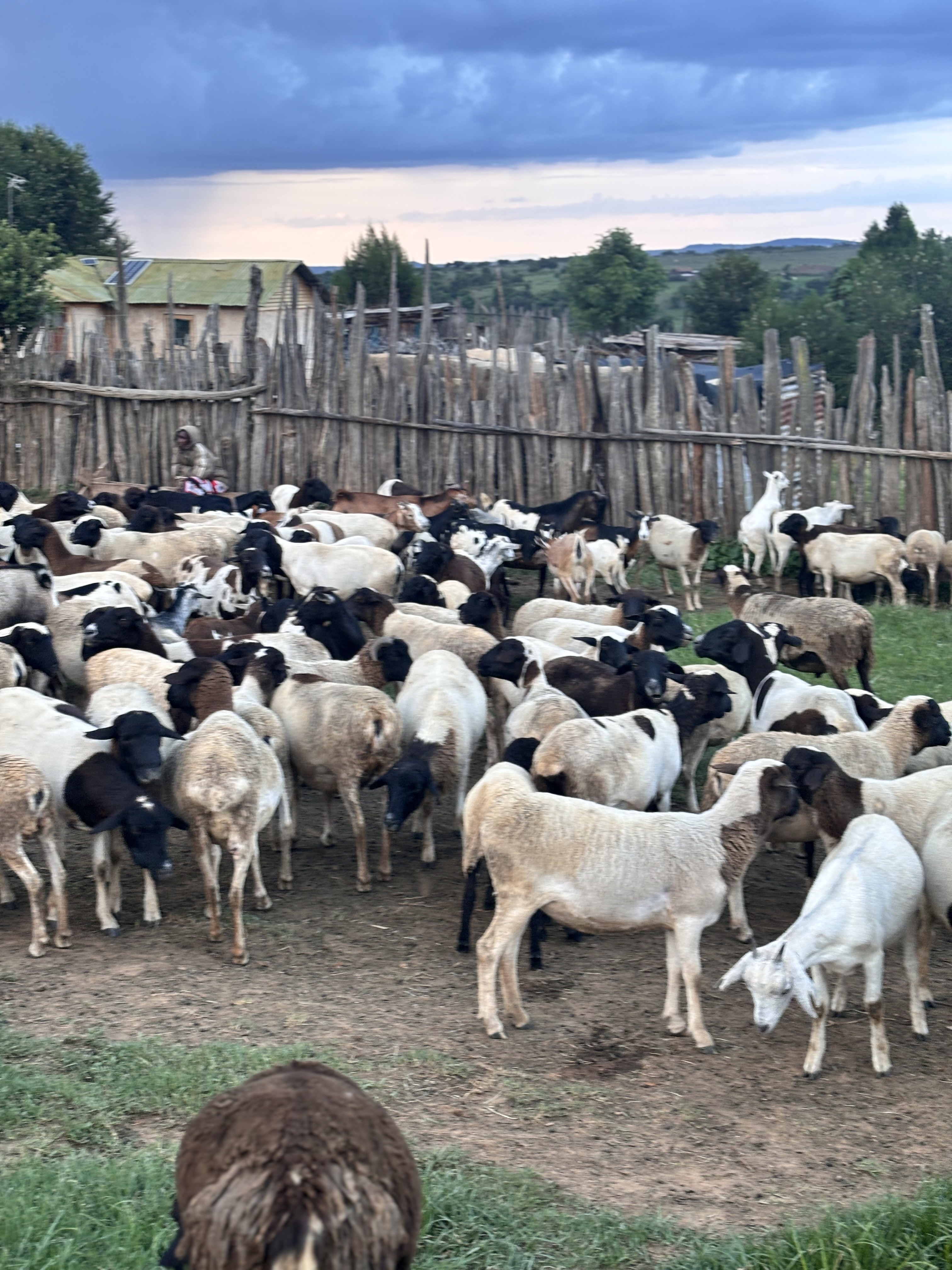 Chumvi community water project Laikipia